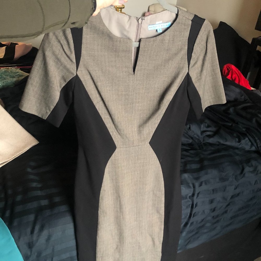 Antonio Melani 3/4 sleeve colorblock sheath